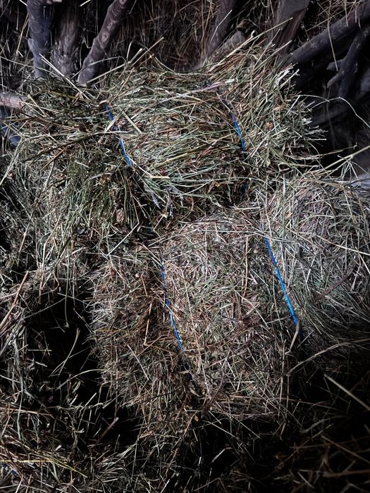 Baloti fan și otava