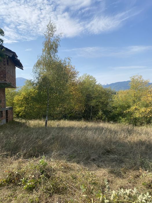 Косене и поддръжка на имоти