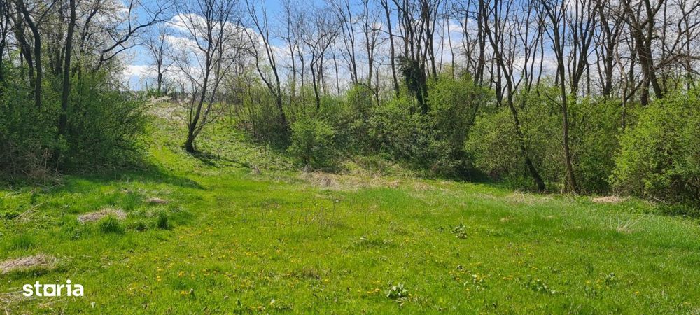 Teren de vanzare , Stalpeni Arges