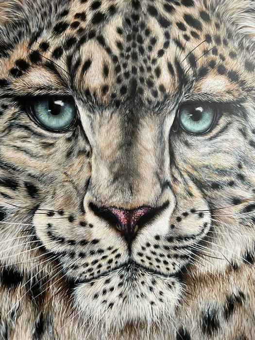 Картина. Снежный барс