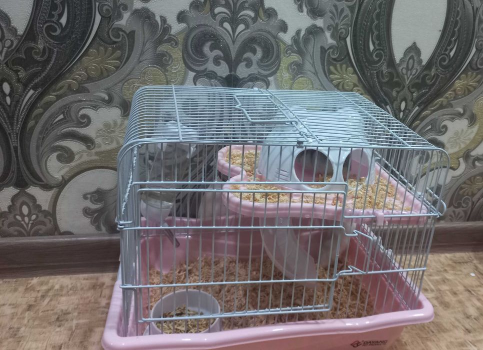 Хомяки с клеткой