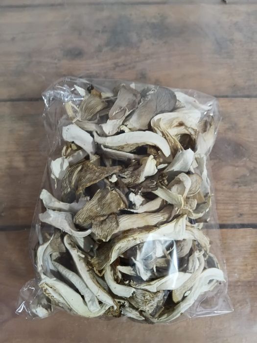 Сушеные грибы вешенка