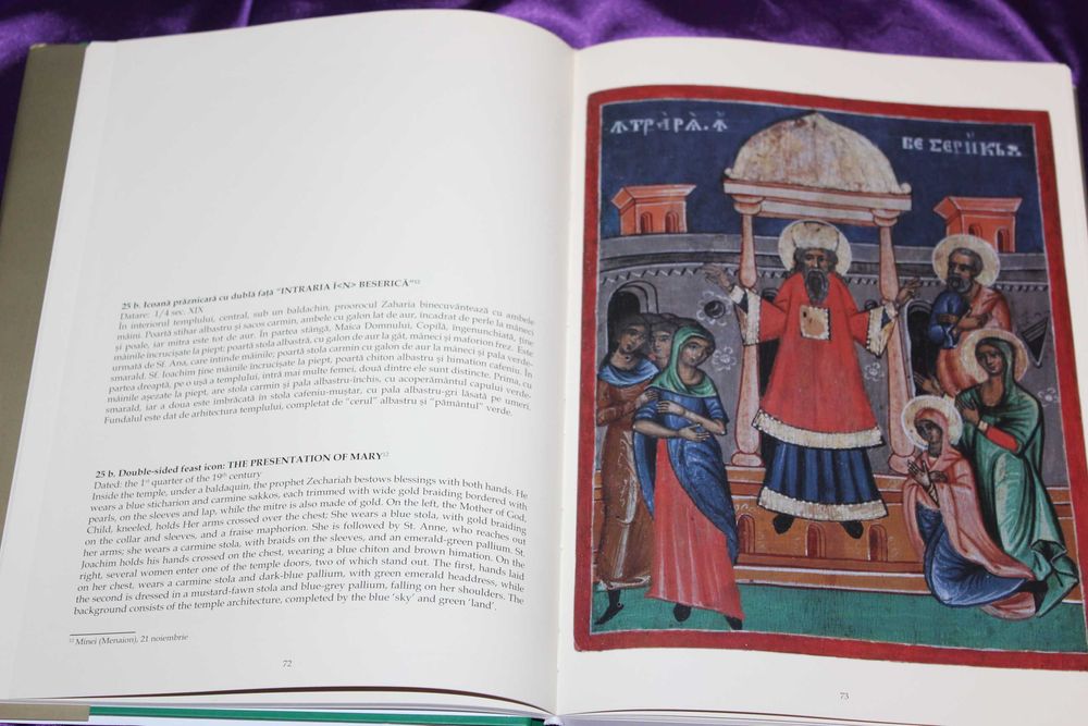 Lot carti etnografie, arta populara Neamt Covasna Iasi Maramures