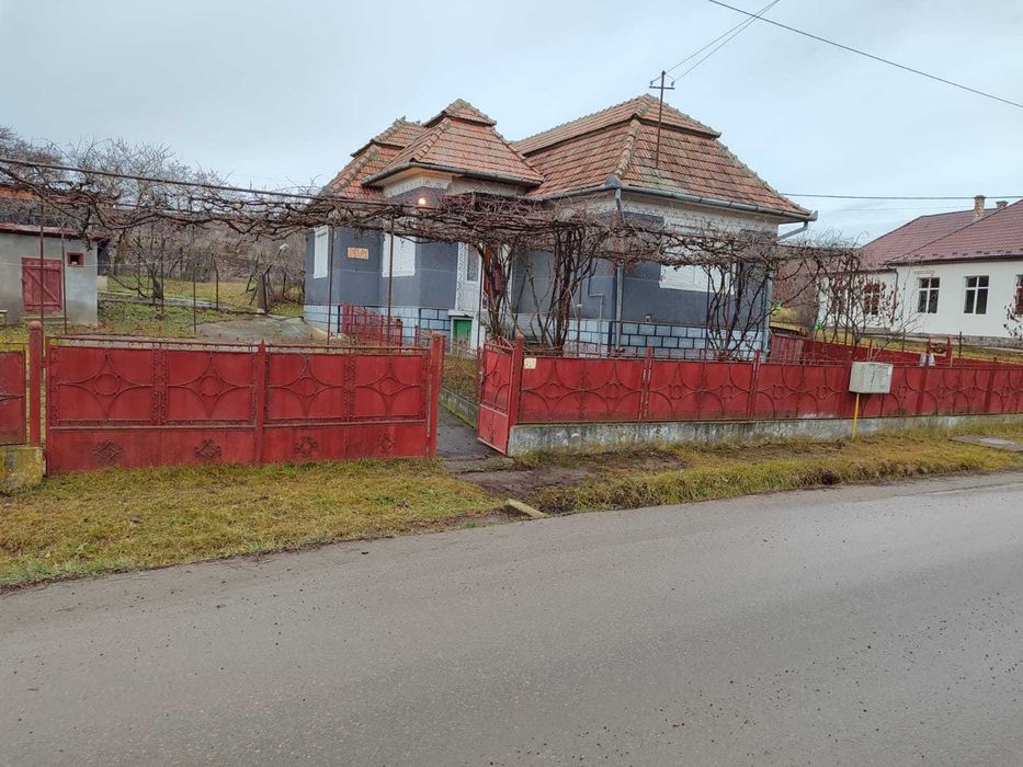 Casa de vanzare in Boian langa Scoala  5800 mp.