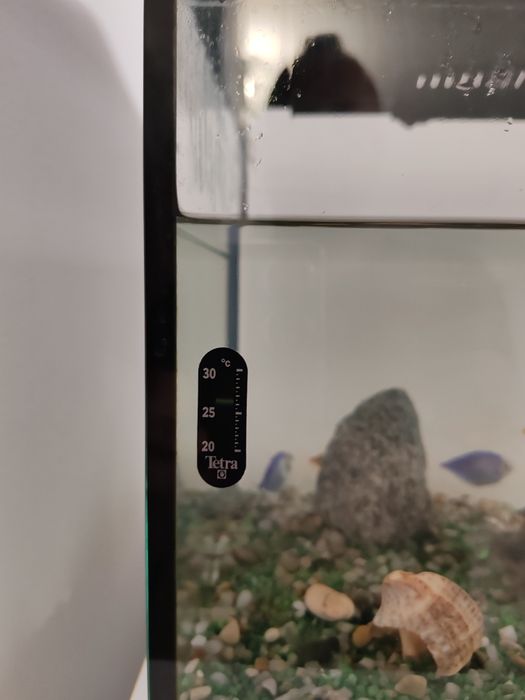 Acvariu 60l, Aquael