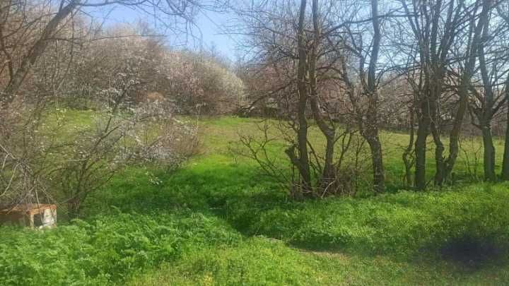 Продава се Парцел в Варна, Владислав Варненчик - 1321 кв.м за 76 €/кв.м - Снимка #1