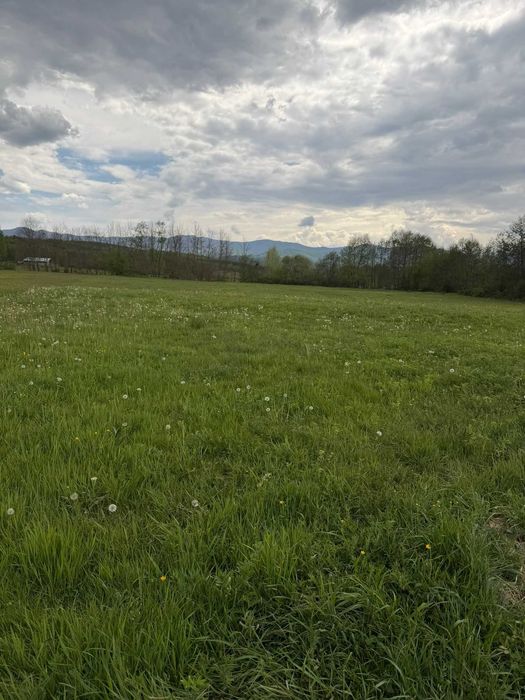 Vand teren extravilan Sinca Veche