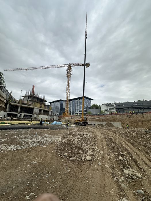 Kran xizmati 30 T 40 T 50 T 80 T