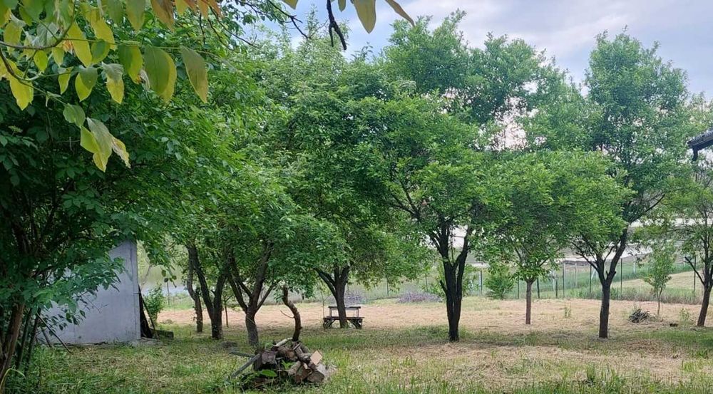 Casă la lac în Câmpenești, cu 800 mp teren