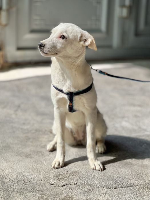 Принцесса Татка ждет своих мам-пап!