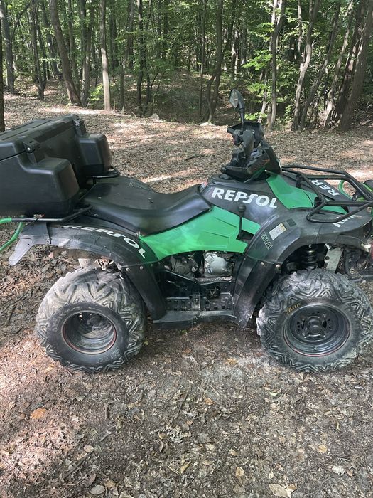Vand Linhai 300 4x4