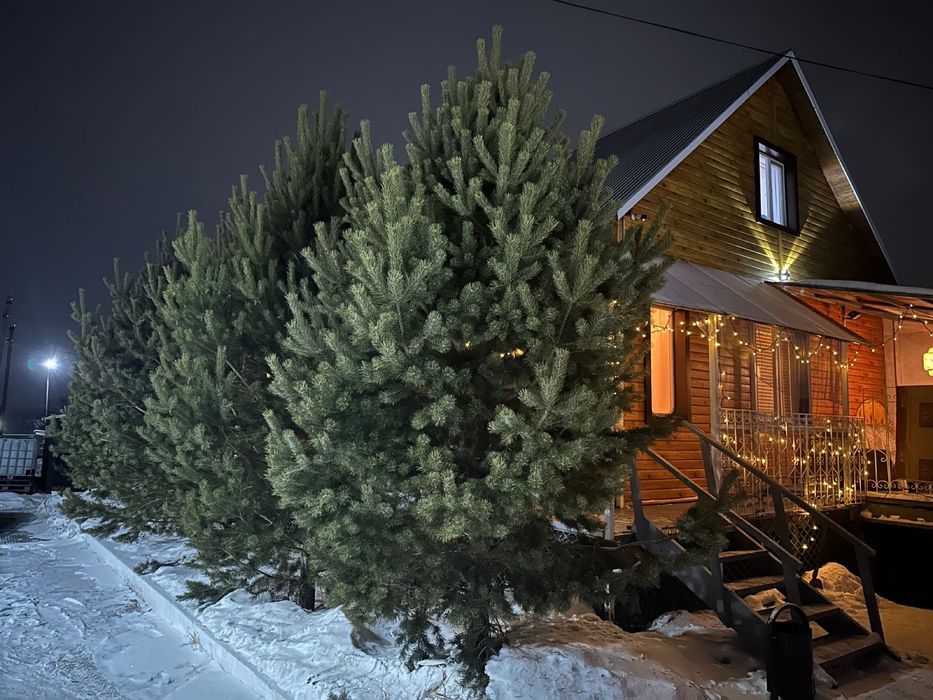 Коттедж.Отдельно стоящий дом.Посуточно.Боровое. Цена договорная.