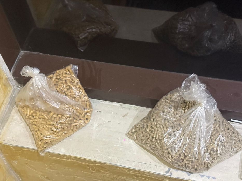 Продам декоративный кролик