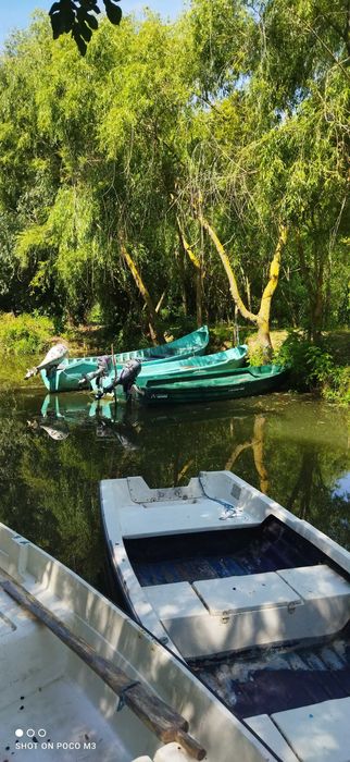 Bărci de închiriat