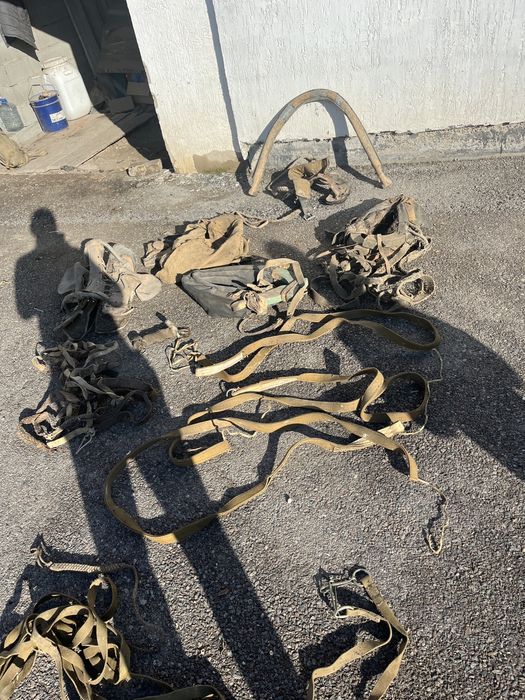 Продам ат саймандарын..