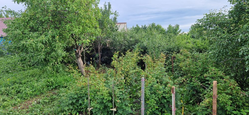 Продам дачу Уралочка