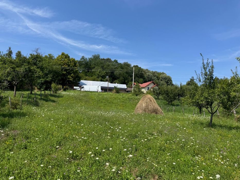 Teren intravilan Bratesti Arges Negociabil !