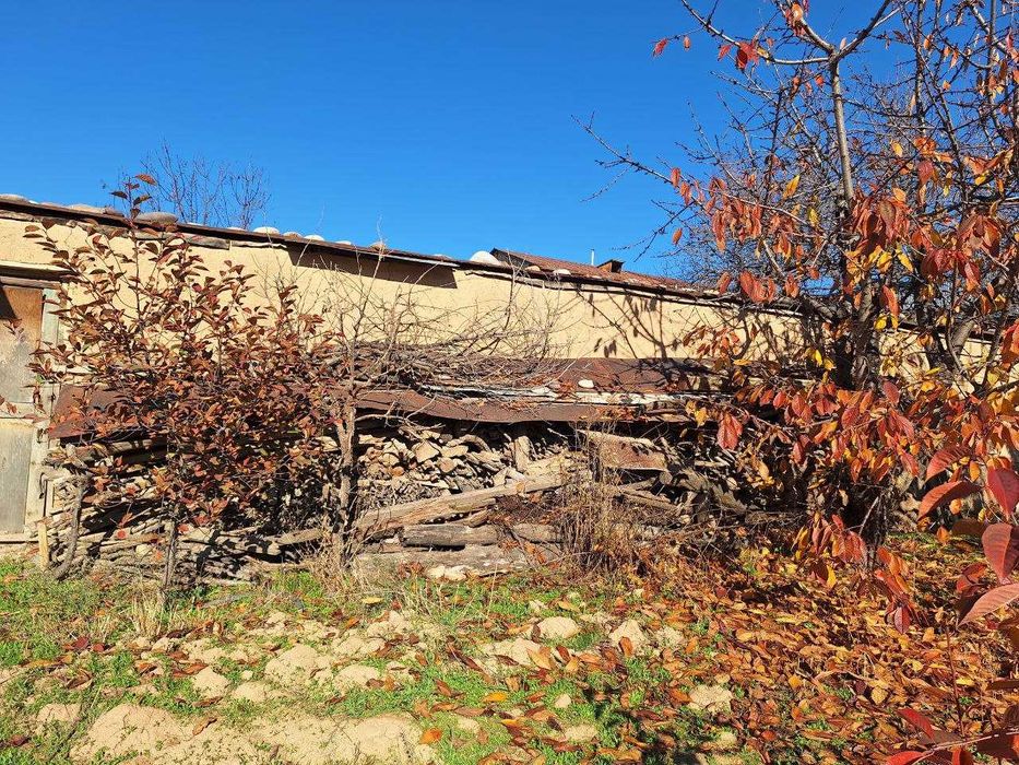 Бир мошина ўтин сотилади