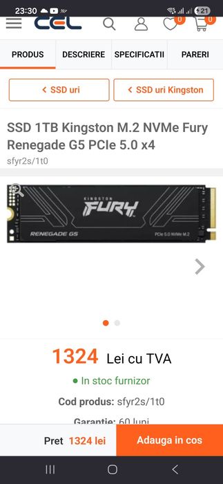 Kingston Fury 1 tb Renegade NVMe M2