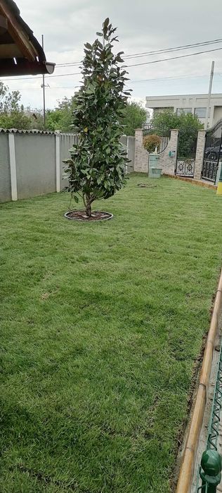 Gazon rulou si instalații de irigat