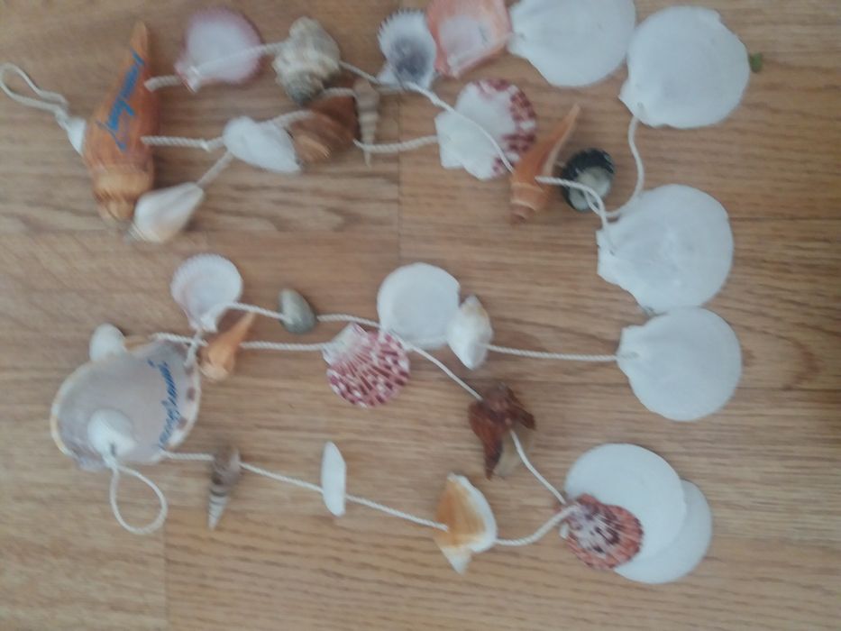 Из Ланкавии ракушки