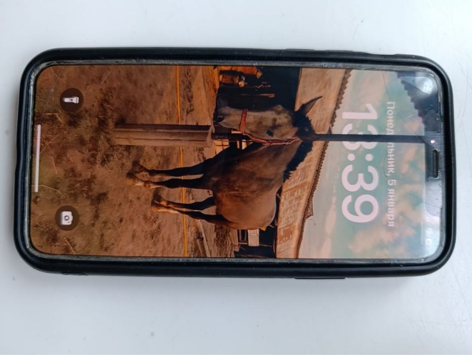 Айфон 11про.