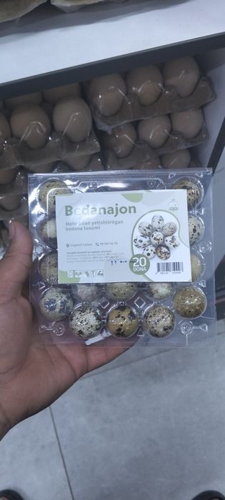 Bedana tuxumi koʻp miqdorda olsalar kelishtrib beramn