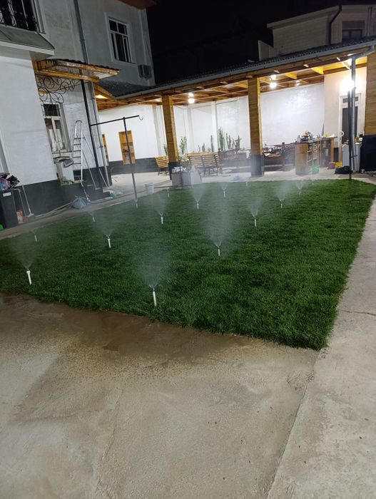 Газон посадка газон экамиз