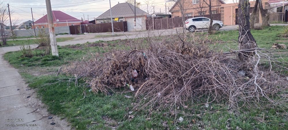 Найдено ключи бабочки