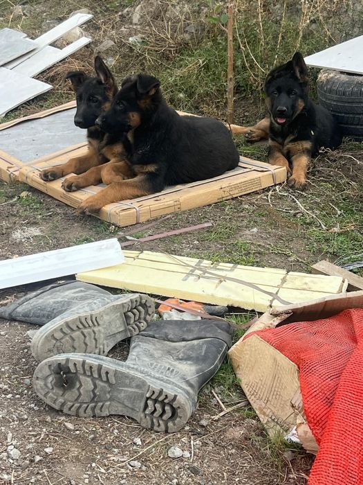 Суықта онлайн порно көру