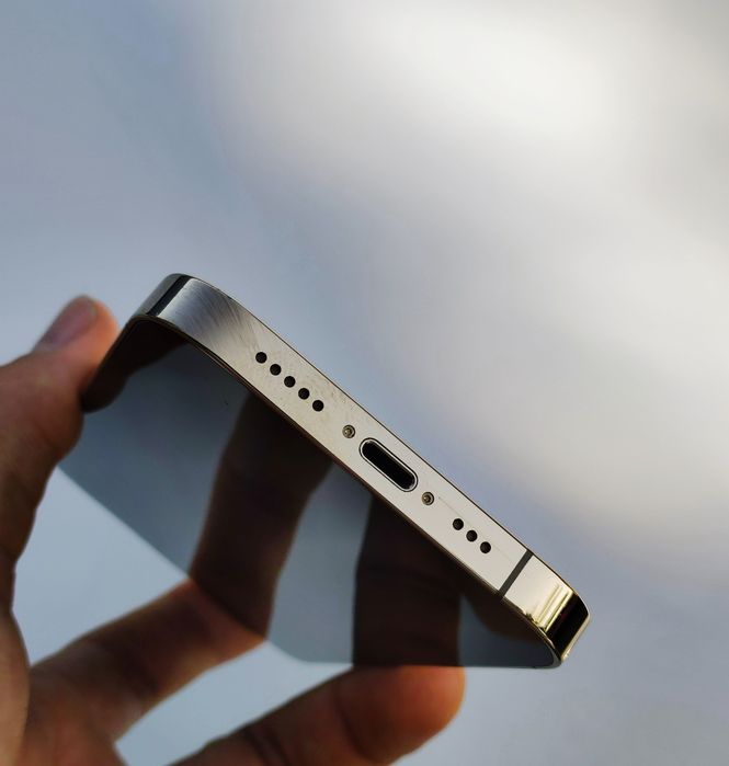 iPhone 13 Pro  LL/A