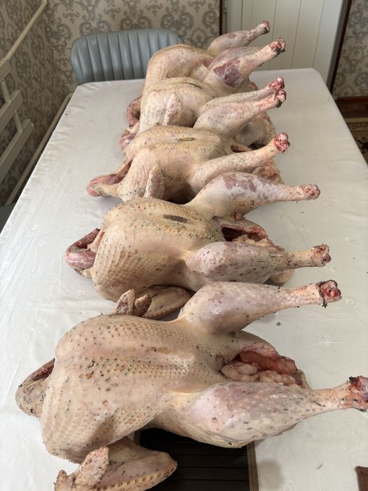 Индейка( үндік еті)