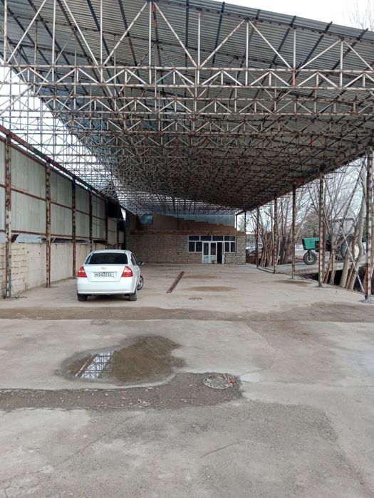 temir tom naves stadion issiqxona