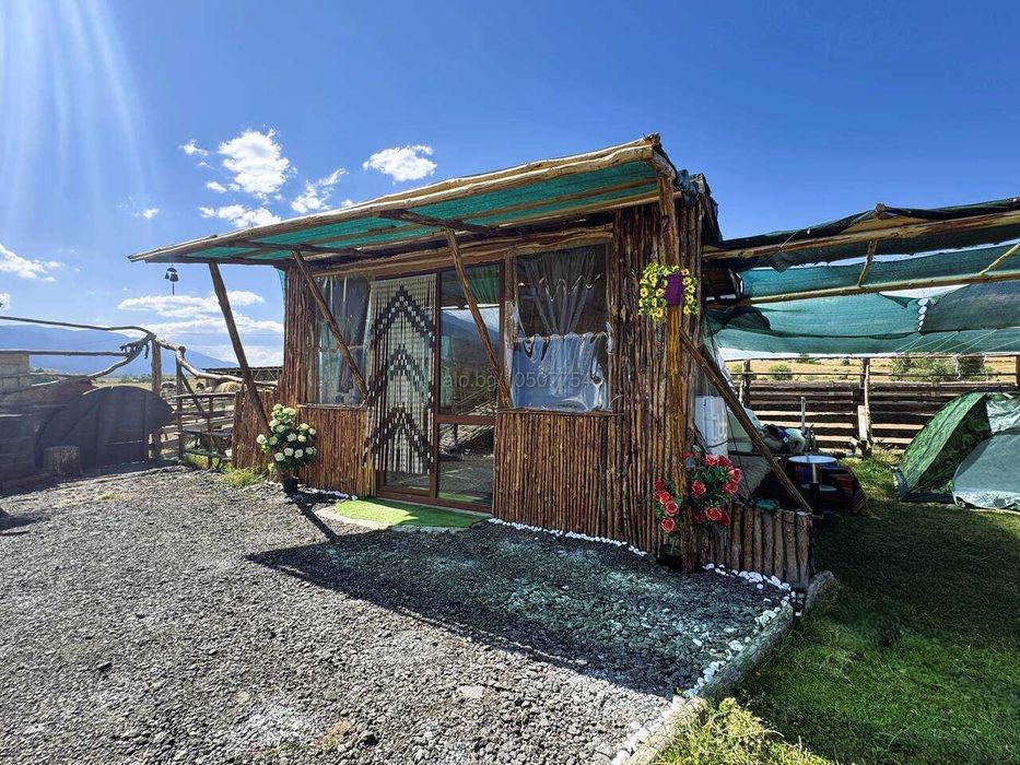 Уникално | Вечер под звездите до Добринище с безброй забавления