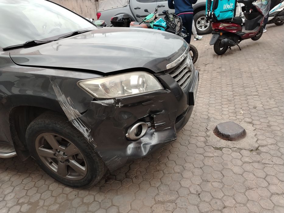 Костоправ моляр, полировка ПДР