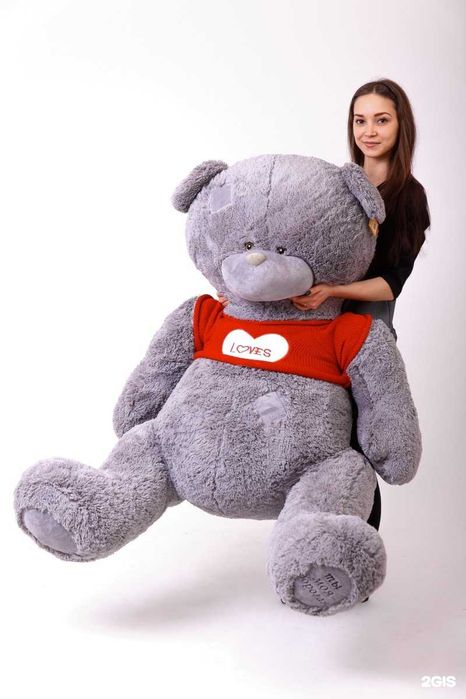 Teddy ayiqchalari Yumshoq o'yinchoqlar  | Мишки Тедди Игрушки