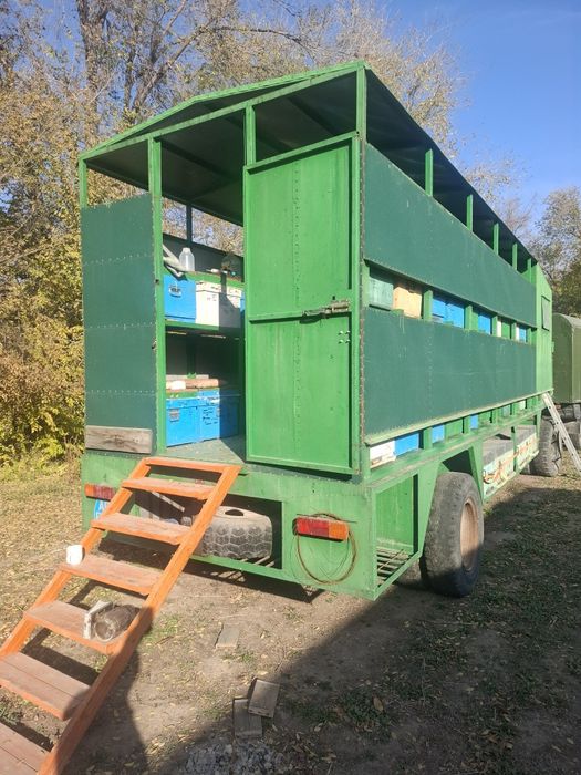 Пчелопавильон...