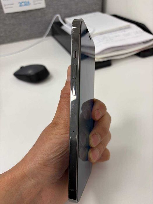 iPhone 12 Pro Max 256