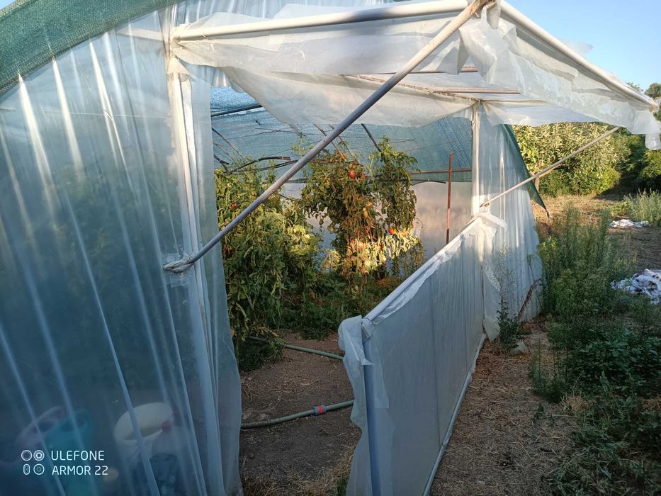 Оранжерия за продан