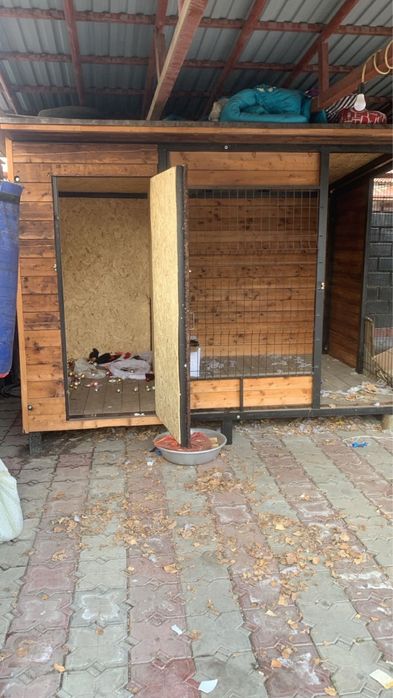 Вольер для собаки