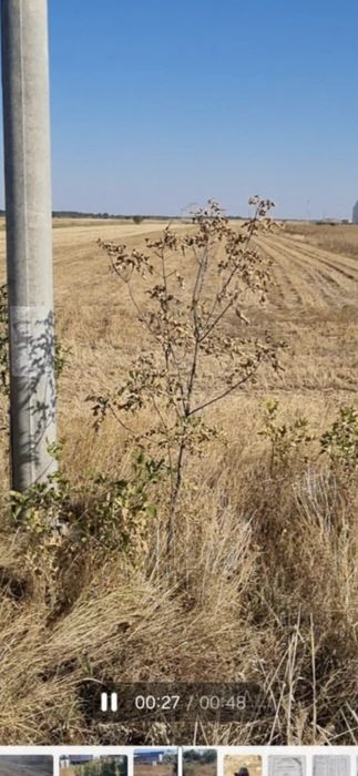 Teren de vânzare soseaua spatarului