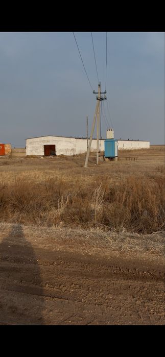 Сдам в аренду базу для откорма скота и пол дома , от города 85 км