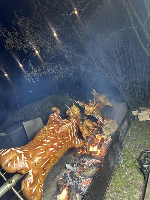 Protap de porc, vitel, berbecut, oaie, pui, curcani
