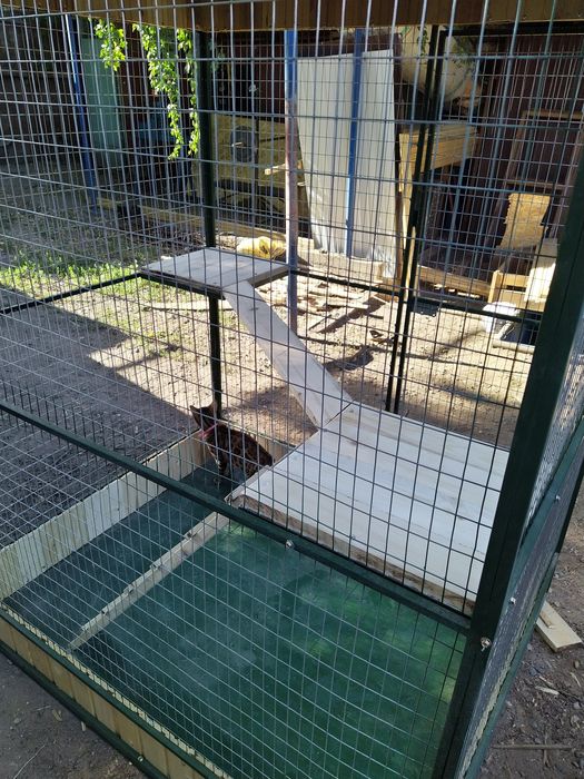 Кошатник клетки для животных