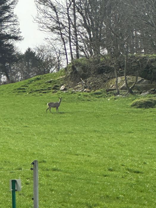 Продава се Къща в с. Малко Кадиево, Област Стара Загора - 100 кв.м за 1090 €/кв.м - Снимка #9