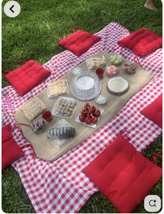 Пикник коврик и сидушки все для пикника