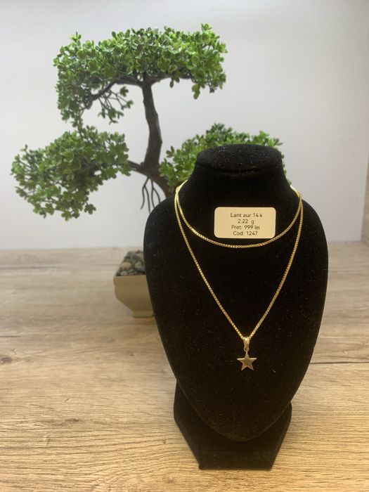 Lant aur 14 k certificat anpc