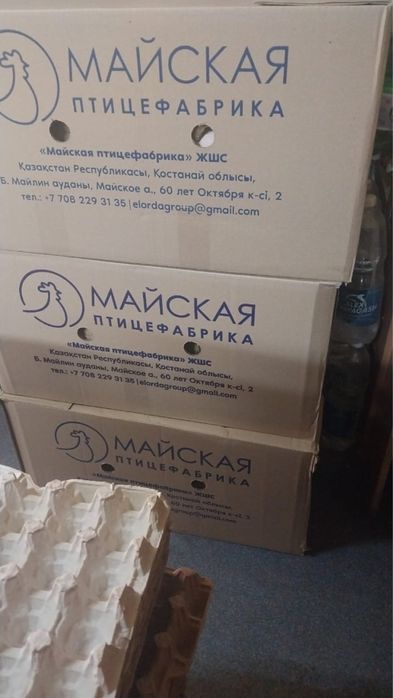 Коробки от яйца