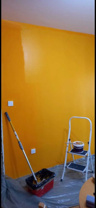 Майстор Бояджия  Боядисване Жилища Входове Бояджийски Услуги за Дома