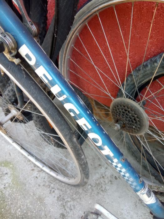 Vând biciclete ,stau degeaba.proba și predarea in Arad